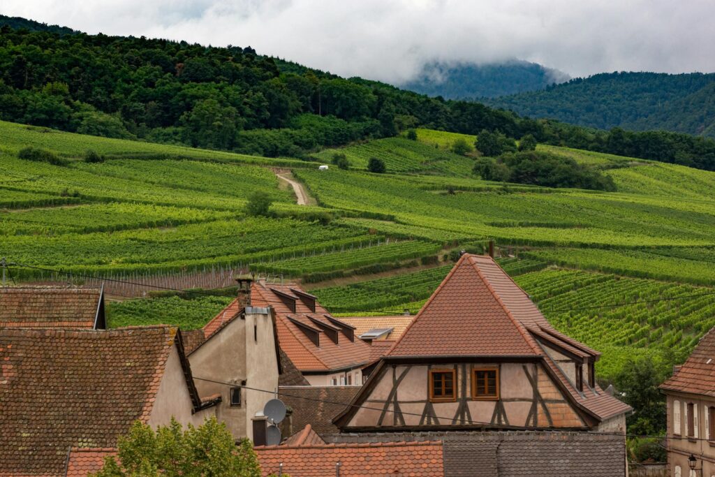 French rural village with half-timbered house and vineyard-covered hillside — UK to France removals to rural and regional French addresses by Trunk Logistics